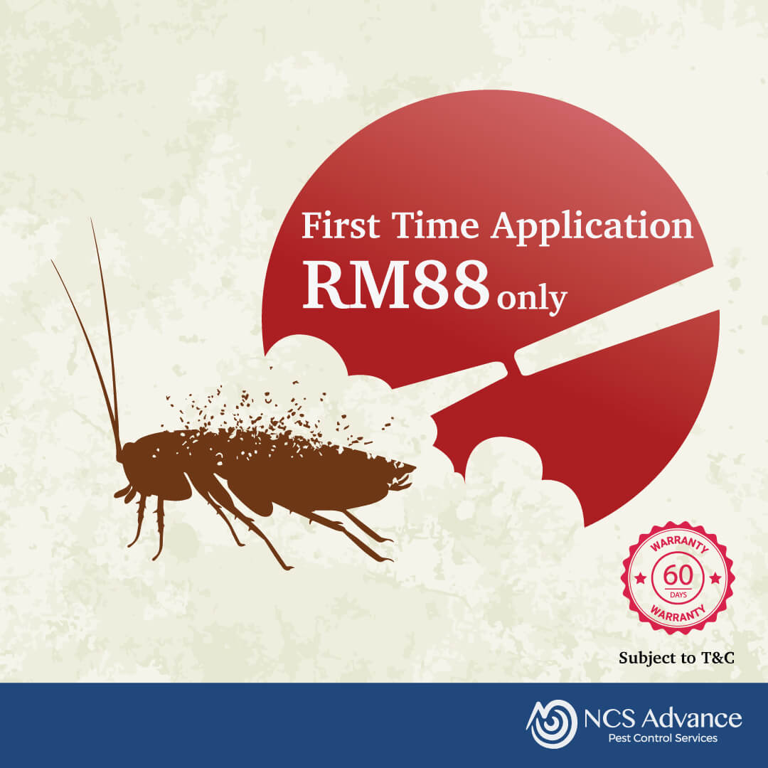 First Time Application RM88 only